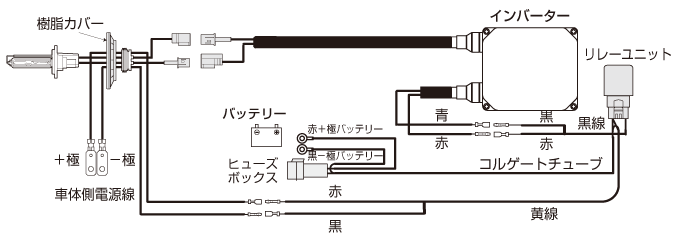 25Wバルブサイズ