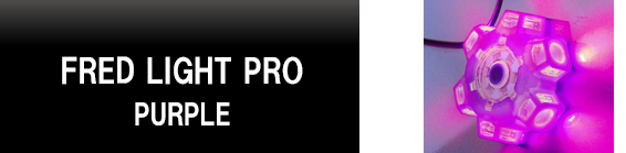 FERD LIGHT PRO PURPLE